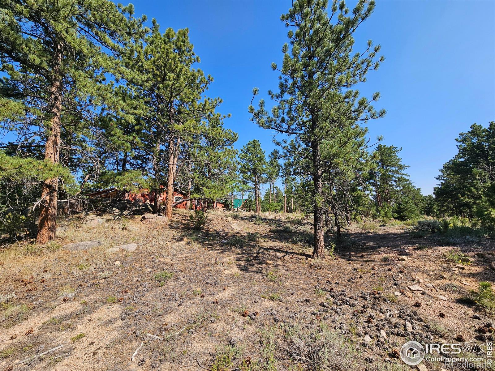 MLS Image #30 for 88  pocahontas highway,red feather lakes, Colorado