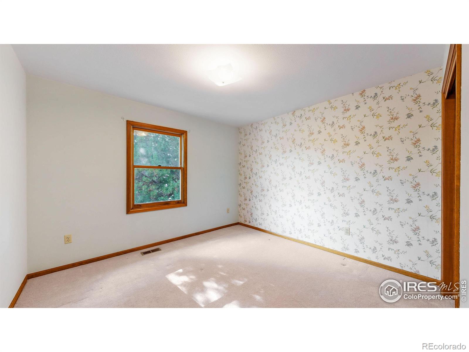 MLS Image #18 for 2902  glendevey drive,loveland, Colorado