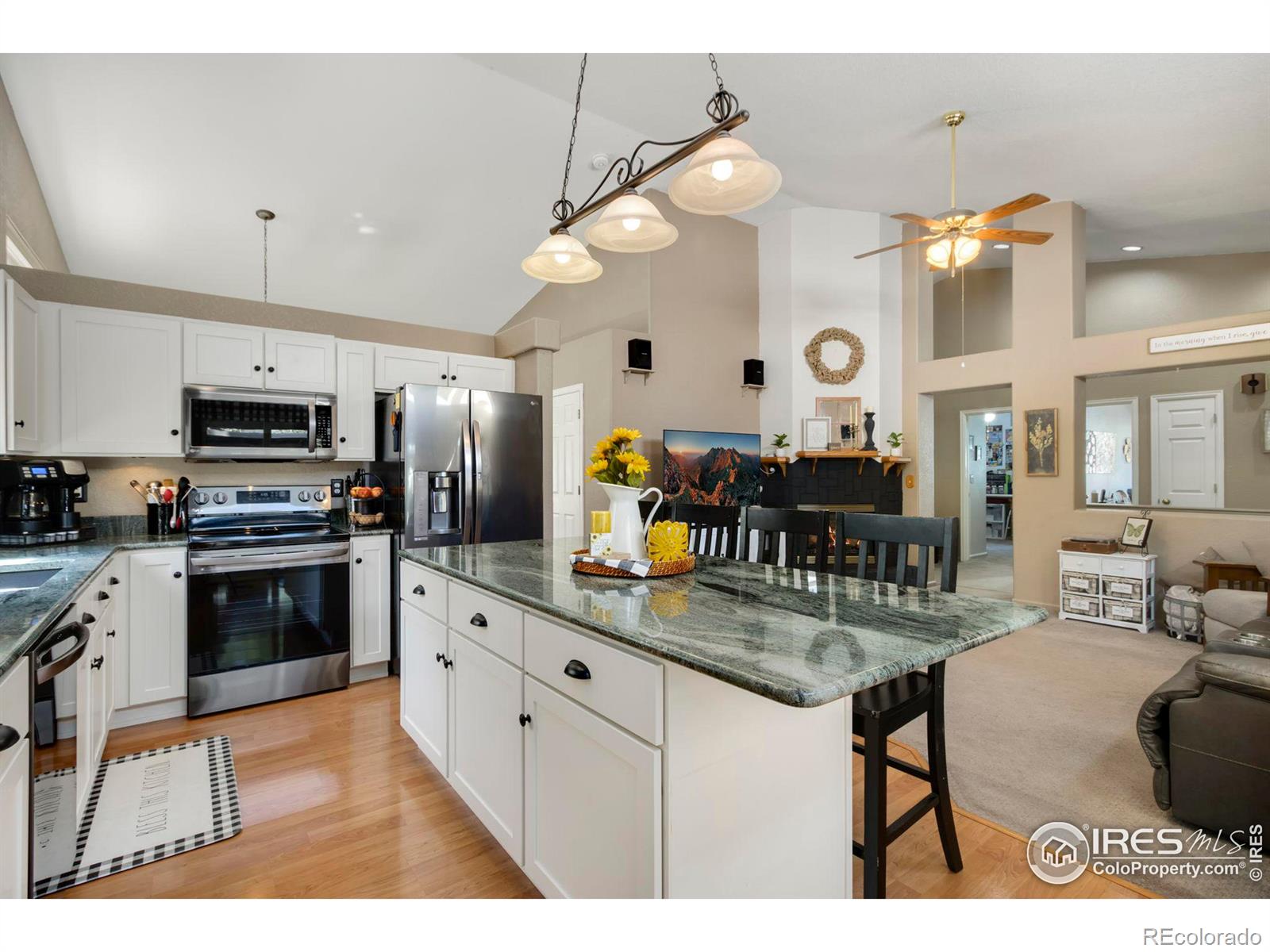 MLS Image #12 for 704  nelson park lane,longmont, Colorado