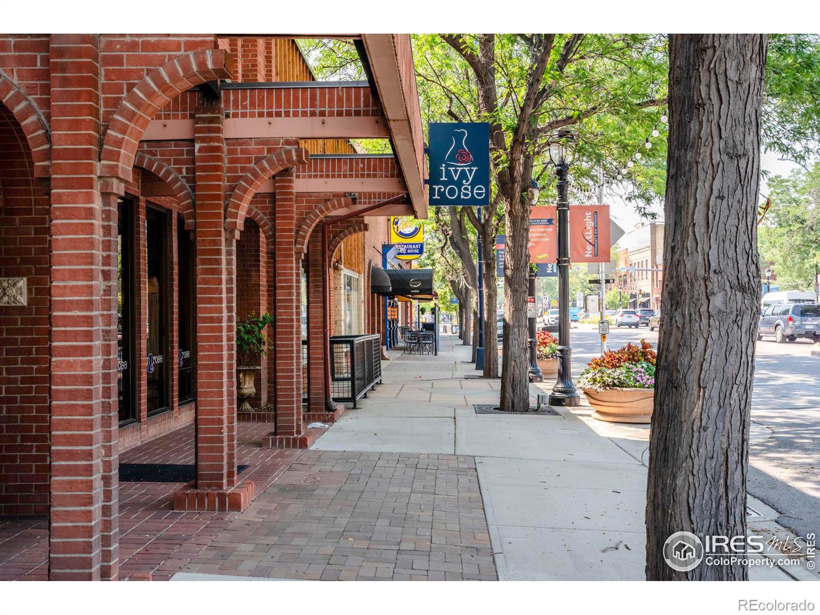 MLS Image #30 for 22  telluride place,longmont, Colorado