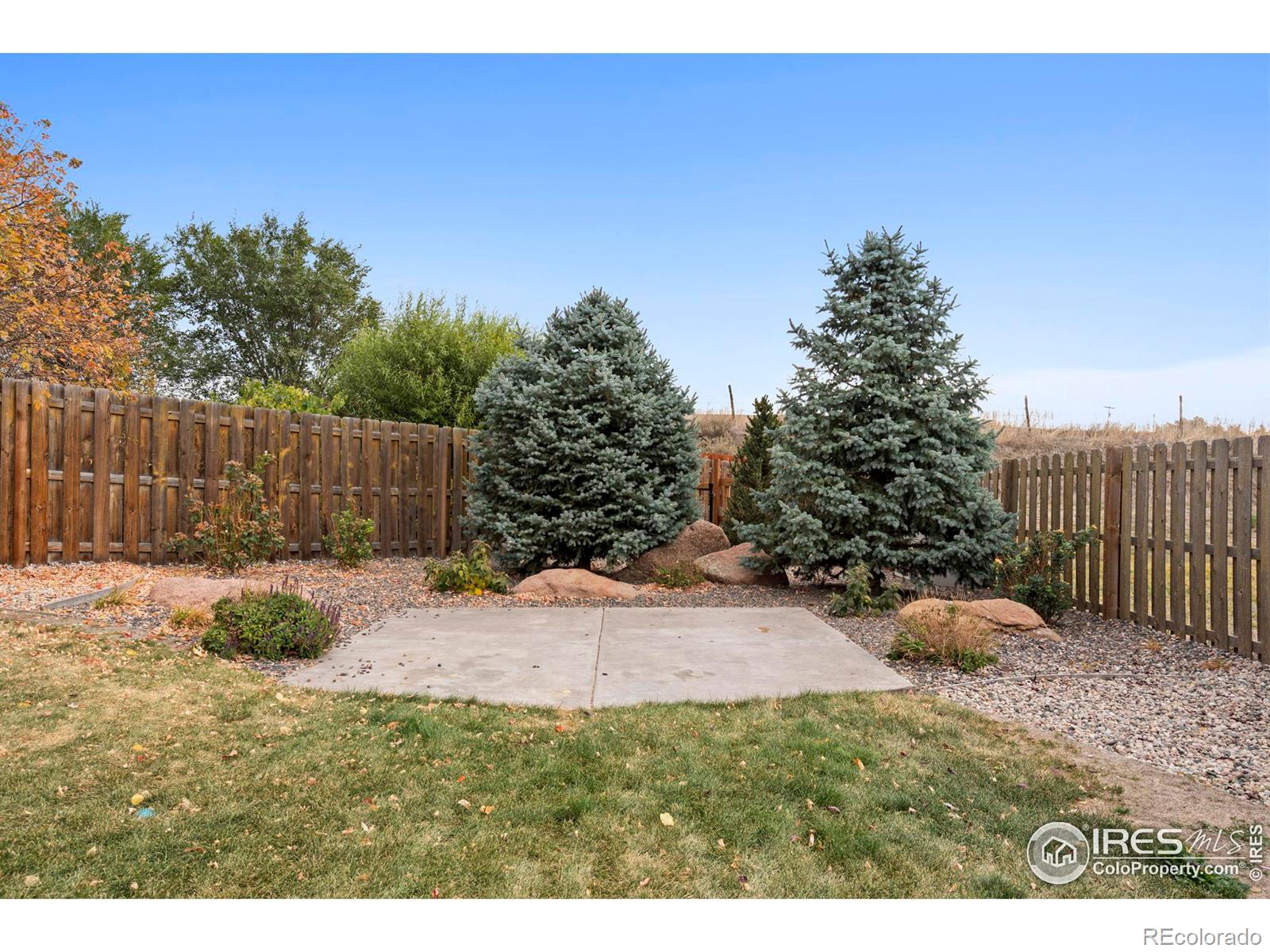 MLS Image #6 for 4587  woodlake lane,wellington, Colorado