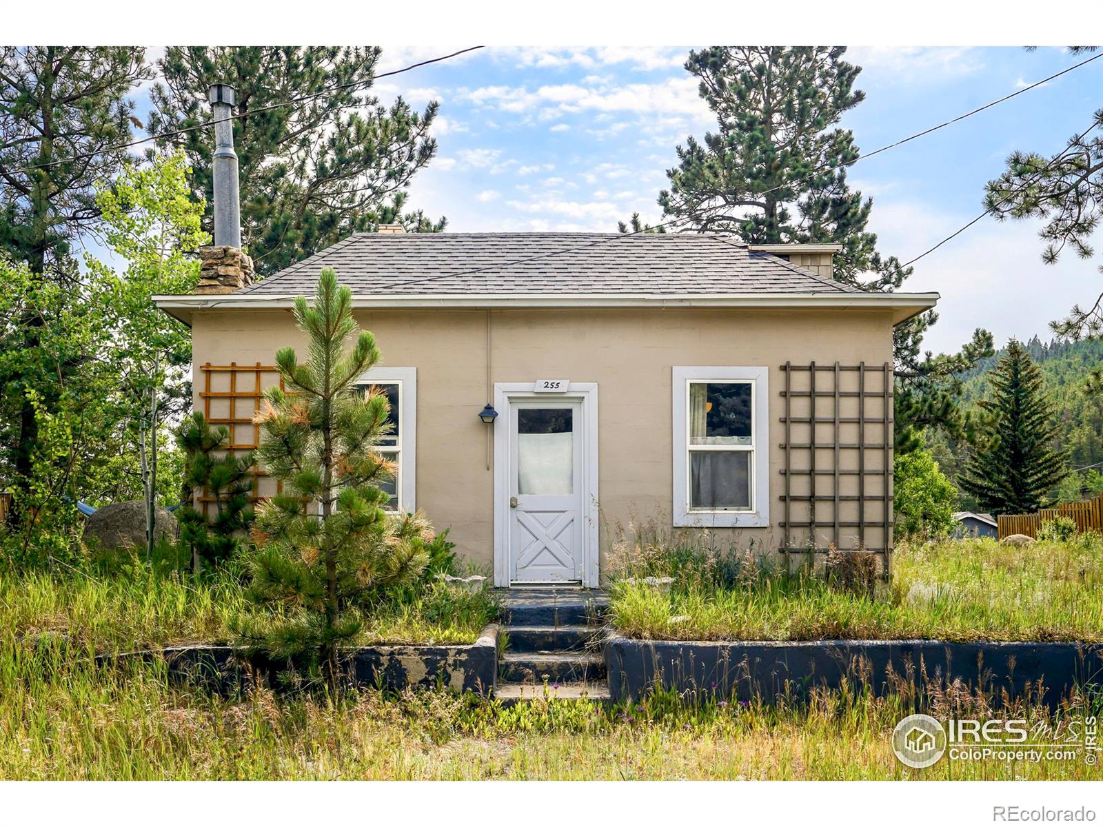 MLS Image #0 for 255 s jackson street,nederland, Colorado