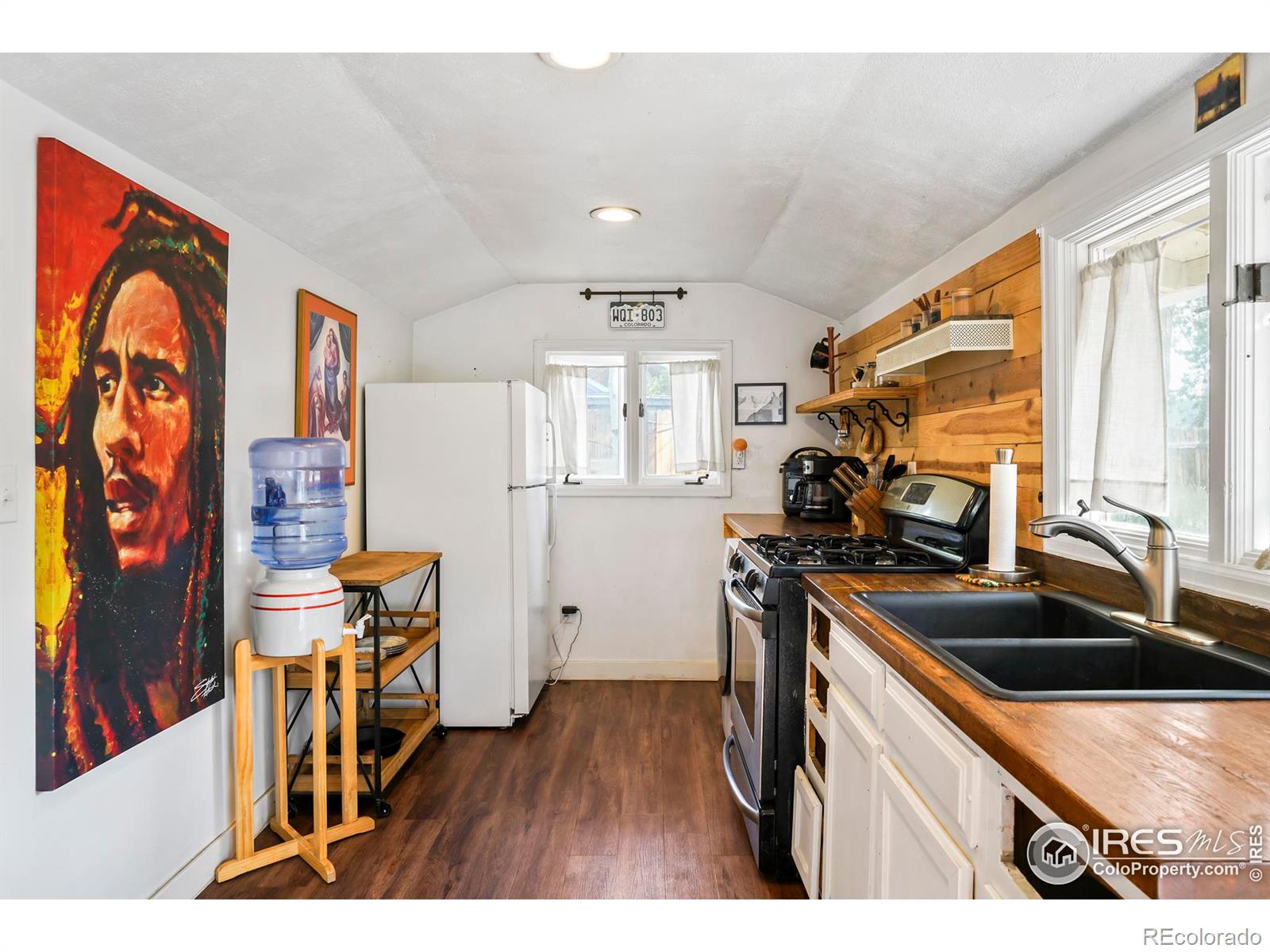 MLS Image #4 for 255 s jackson street,nederland, Colorado