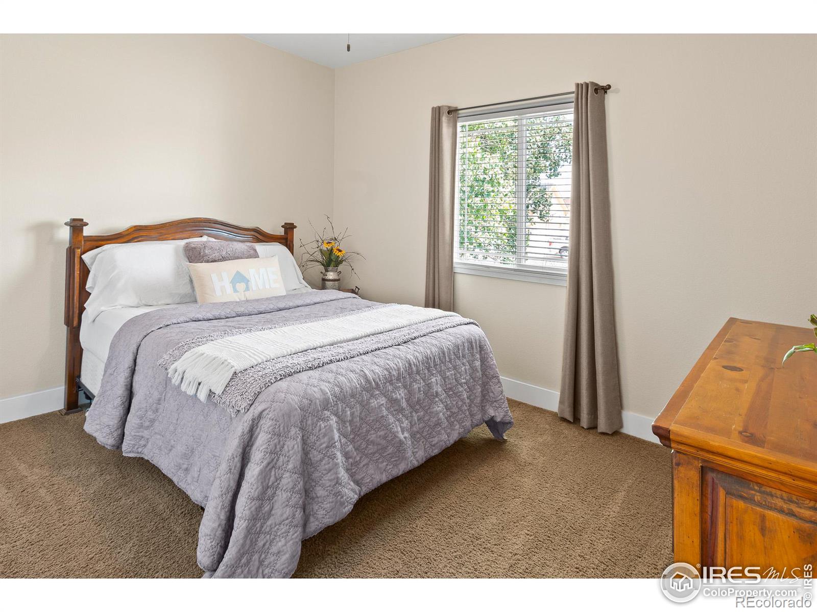 MLS Image #18 for 1327  park ridge drive,severance, Colorado