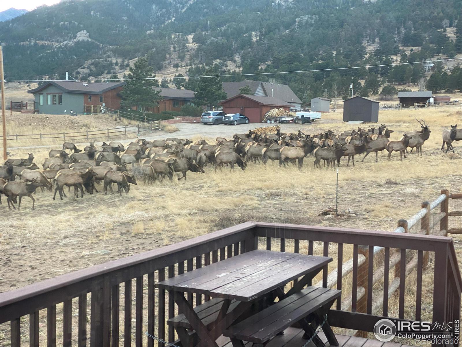 MLS Image #33 for 340  saddleback lane,estes park, Colorado