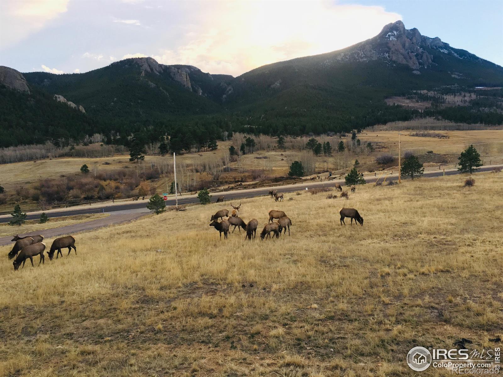 MLS Image #37 for 340  saddleback lane,estes park, Colorado