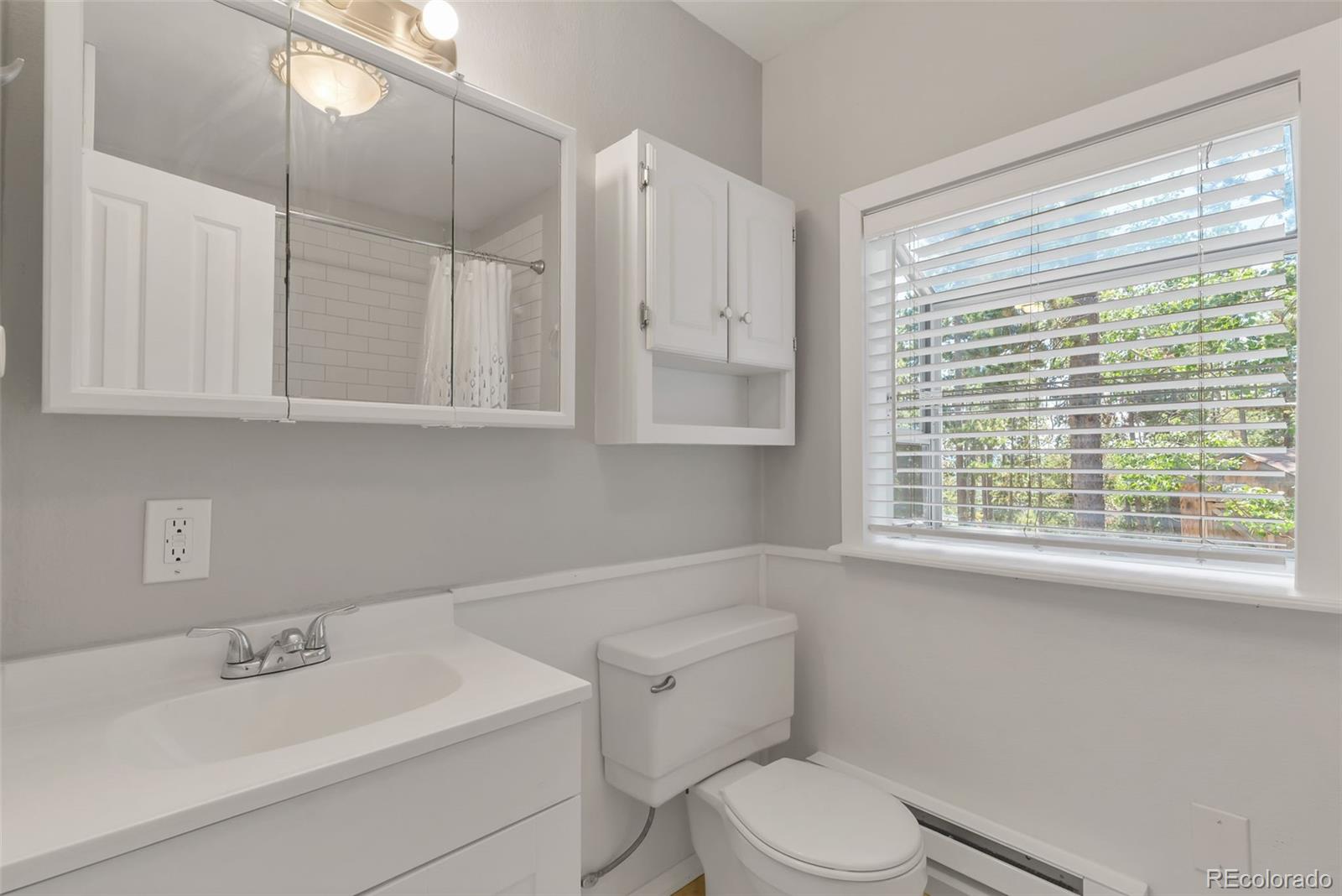MLS Image #15 for 28  deer road,evergreen, Colorado