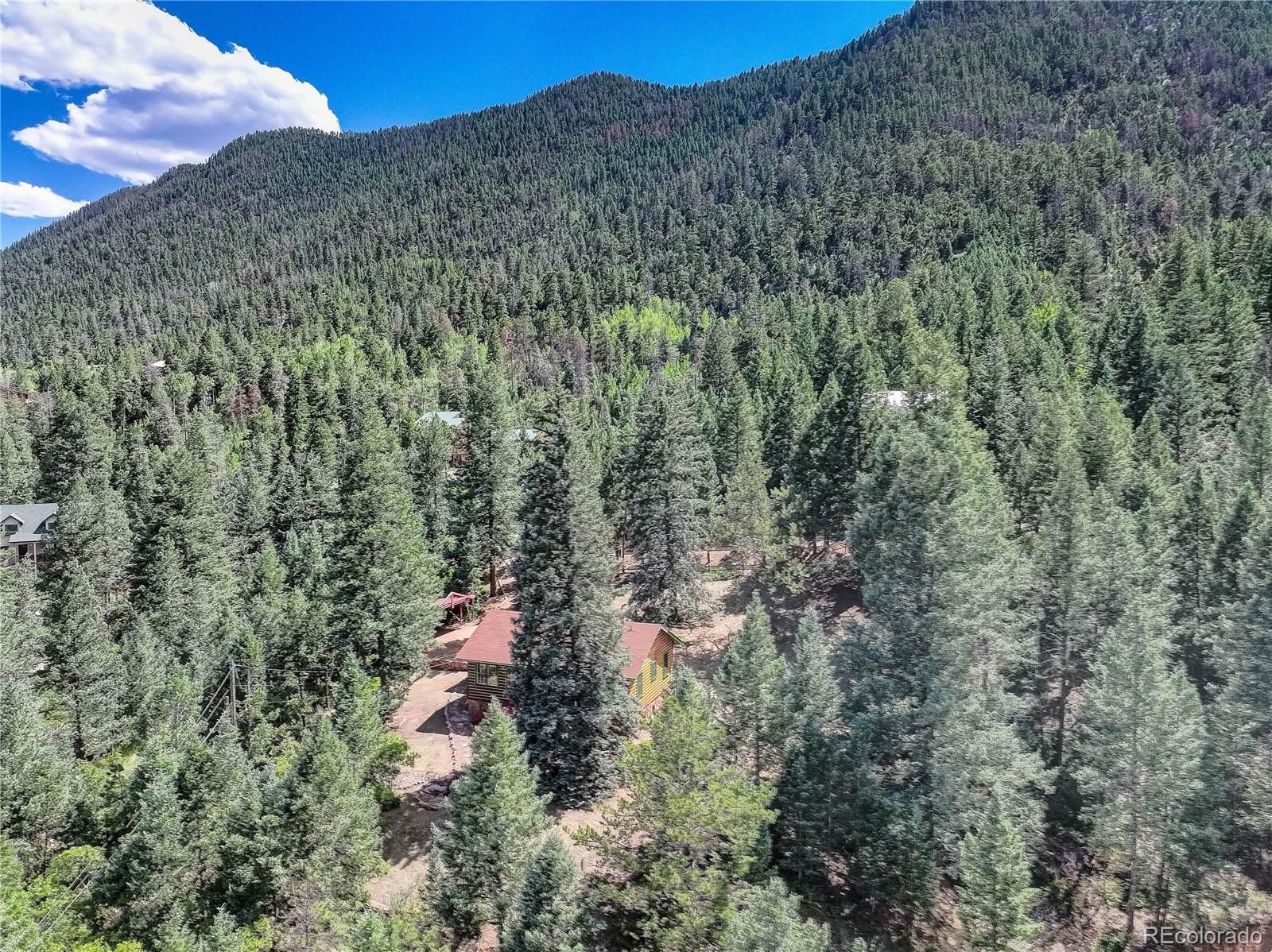 MLS Image #26 for 9245  shoshone road,cascade, Colorado