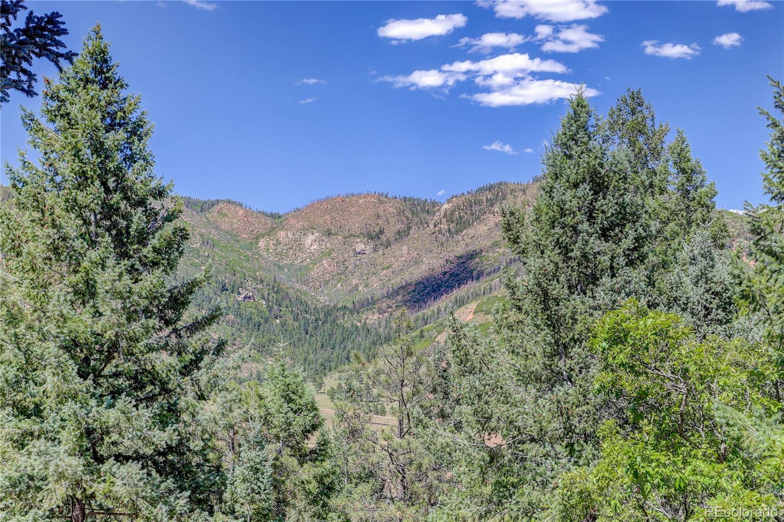 MLS Image #7 for 9245  shoshone road,cascade, Colorado