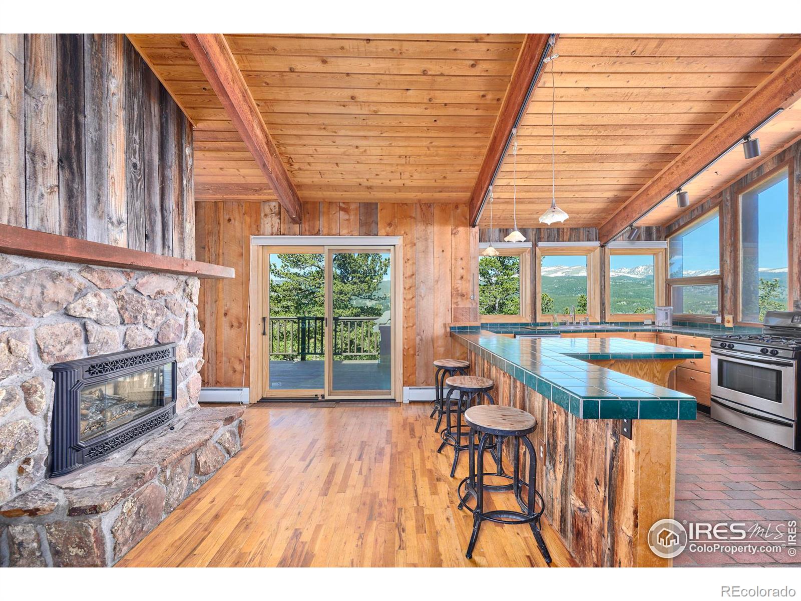 MLS Image #12 for 90  peakview road,nederland, Colorado