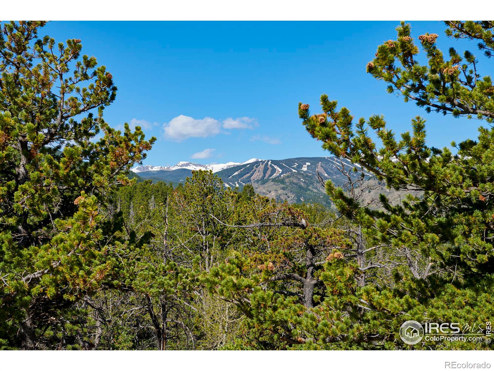 MLS Image #28 for 90  peakview road,nederland, Colorado