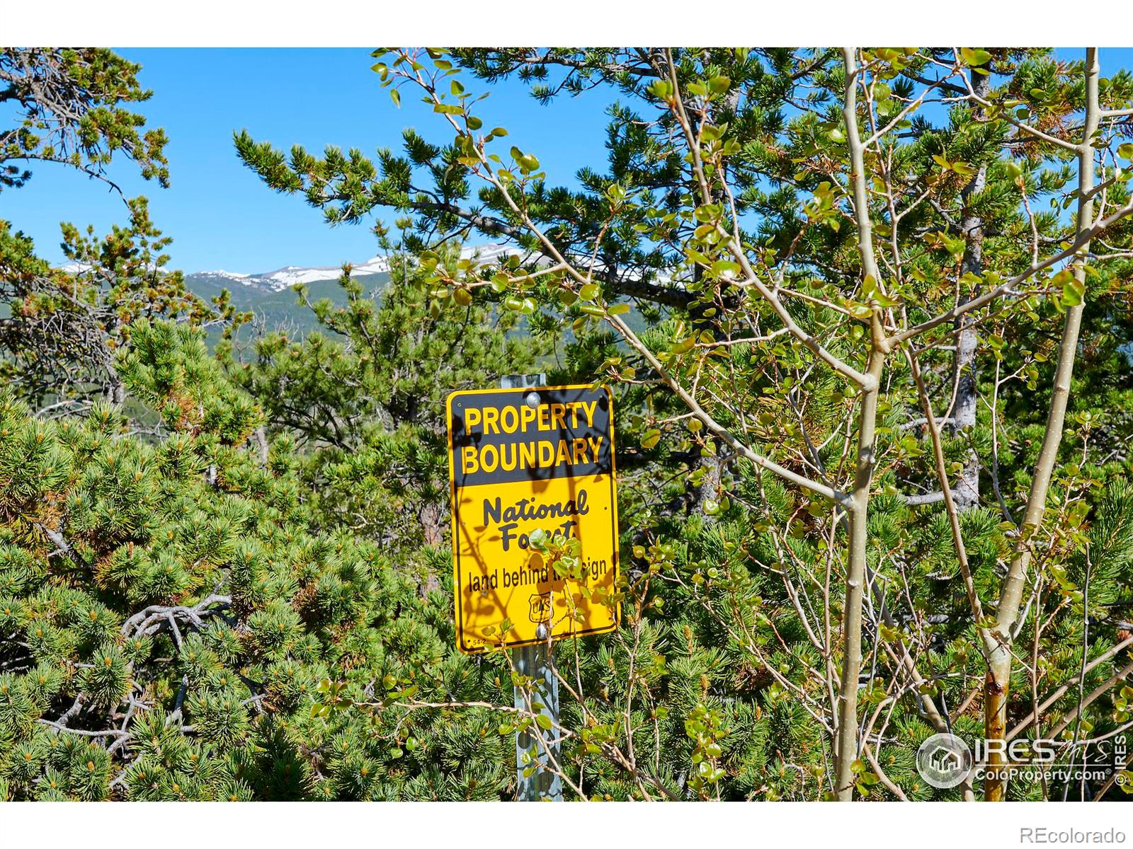 MLS Image #31 for 90  peakview road,nederland, Colorado