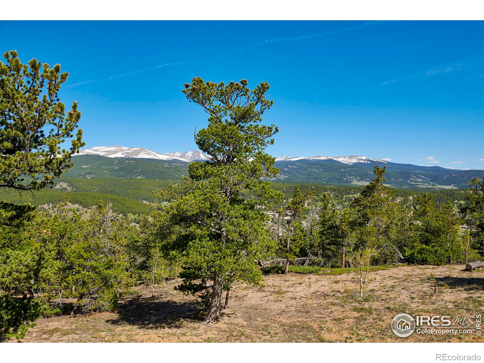 MLS Image #5 for 90  peakview road,nederland, Colorado