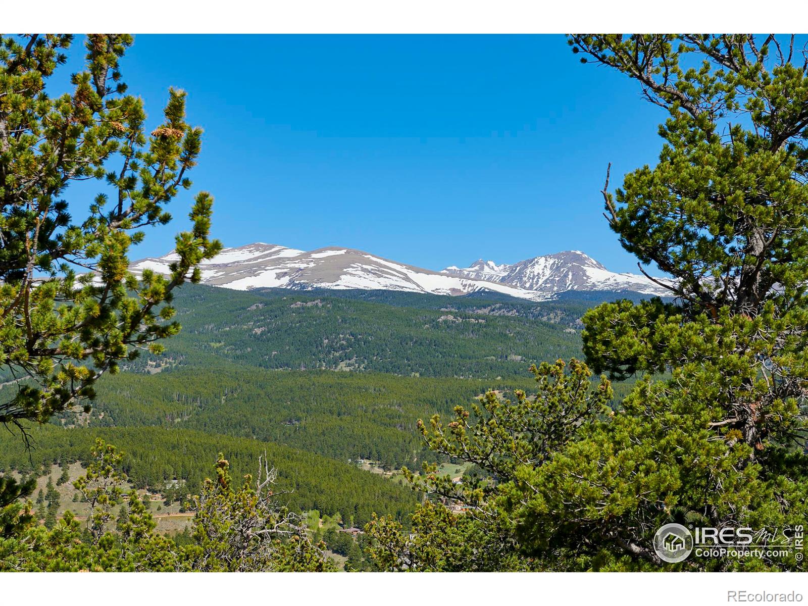 MLS Image #9 for 90  peakview road,nederland, Colorado