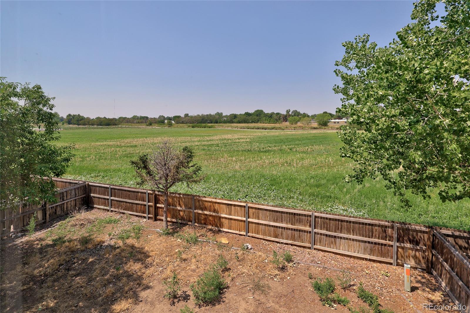 MLS Image #29 for 10133  eudora court,thornton, Colorado