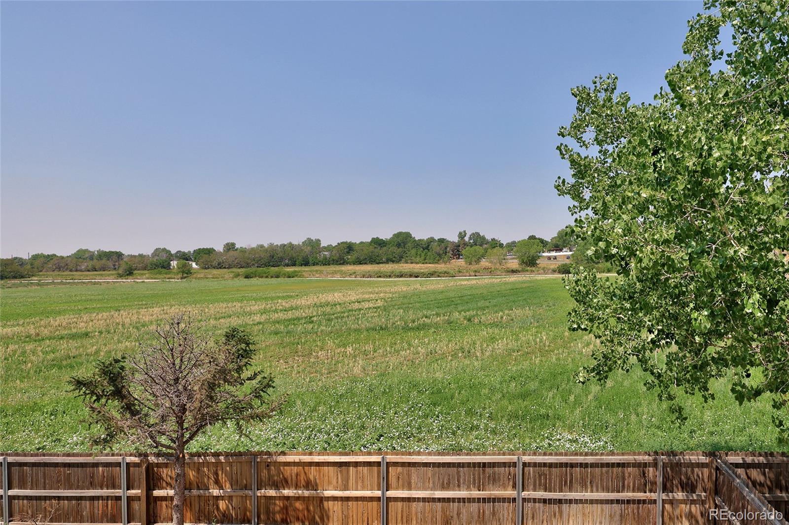 MLS Image #30 for 10133  eudora court,thornton, Colorado