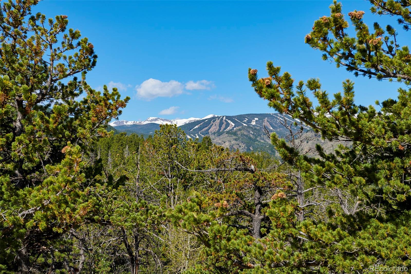 MLS Image #25 for 90  peakview drive,nederland, Colorado