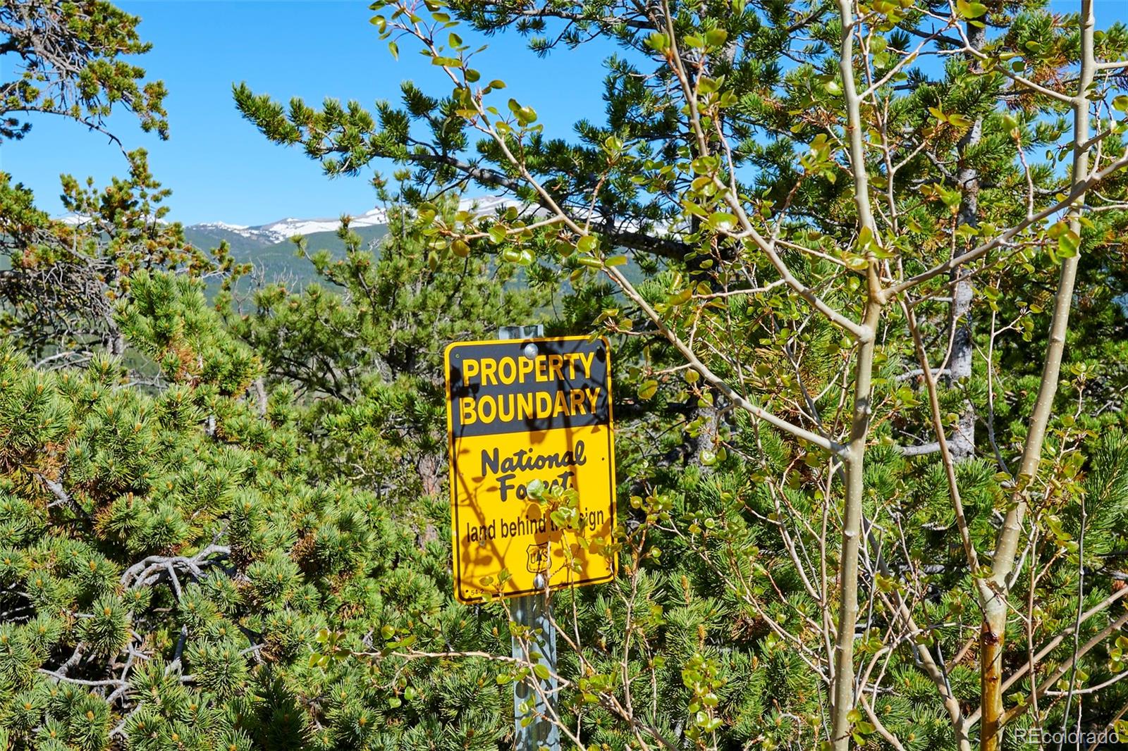 MLS Image #27 for 90  peakview drive,nederland, Colorado