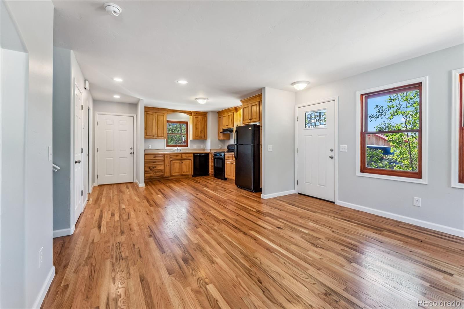MLS Image #15 for 463 n main street,alma, Colorado