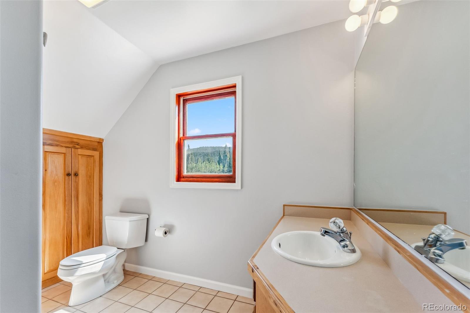 MLS Image #18 for 463 n main street,alma, Colorado
