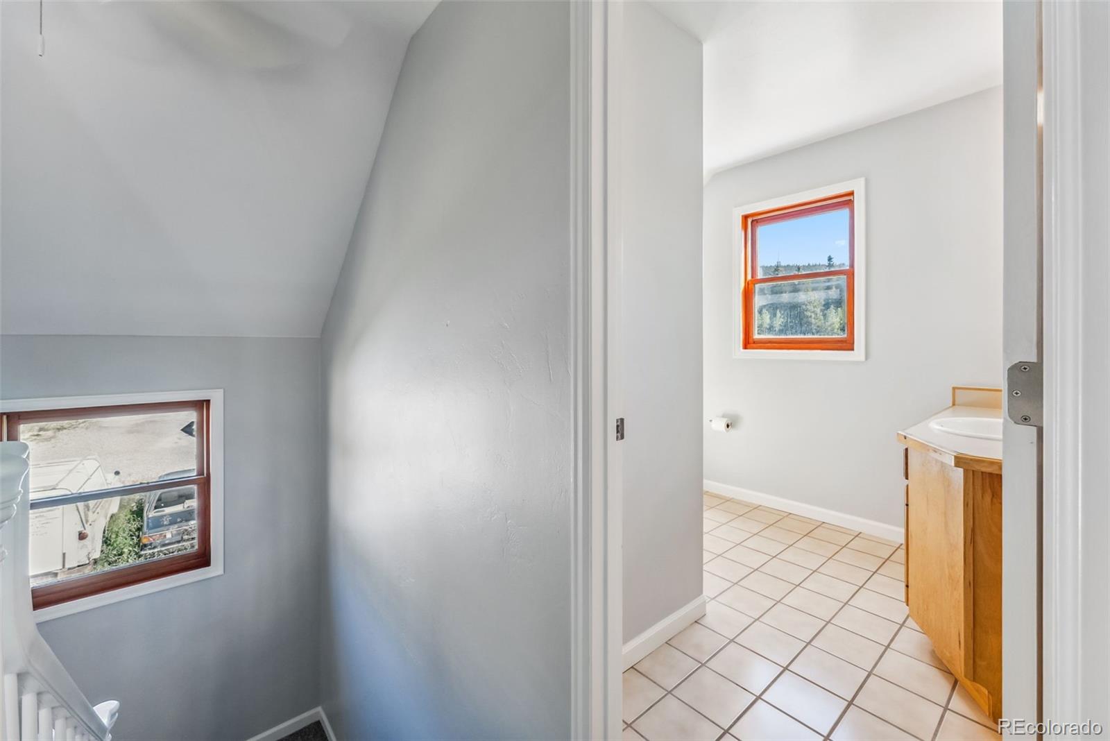 MLS Image #19 for 463 n main street,alma, Colorado