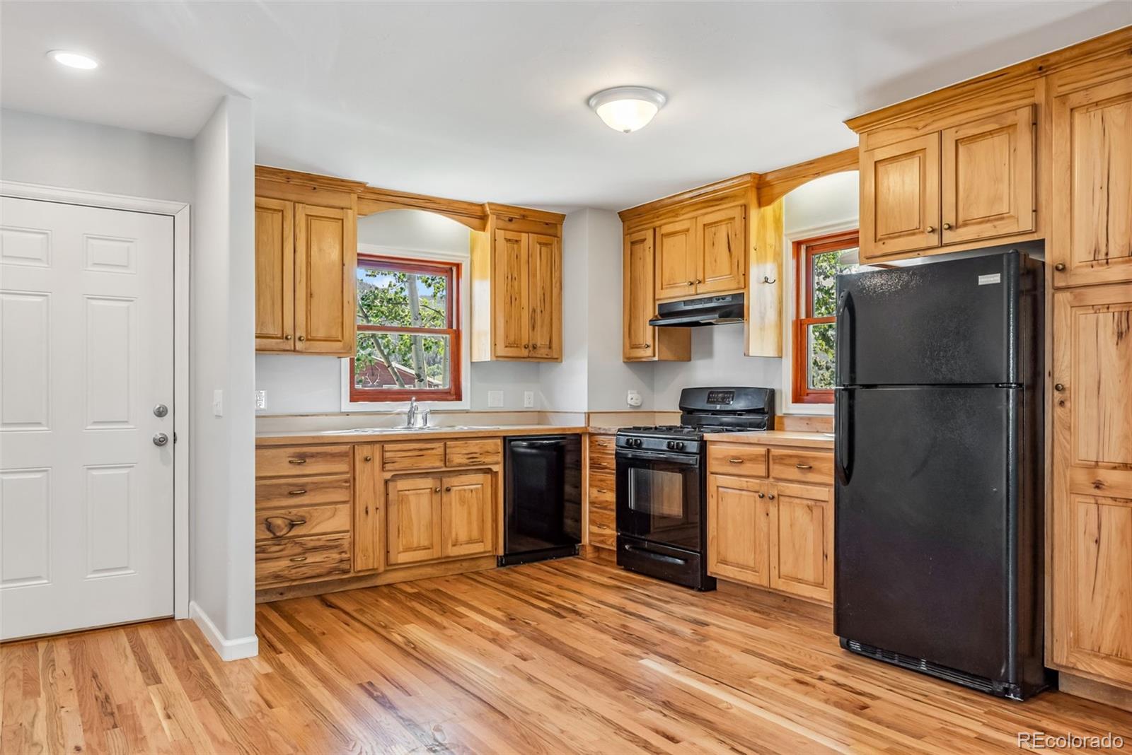 MLS Image #2 for 463 n main street,alma, Colorado