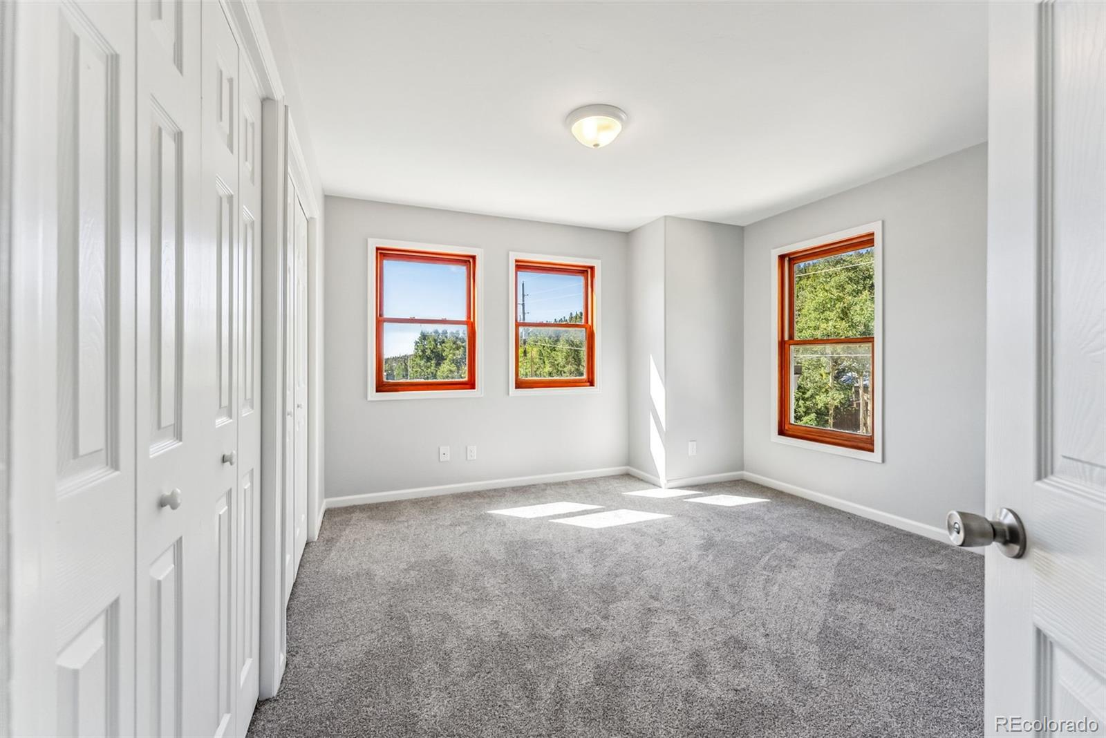 MLS Image #30 for 463 n main street,alma, Colorado