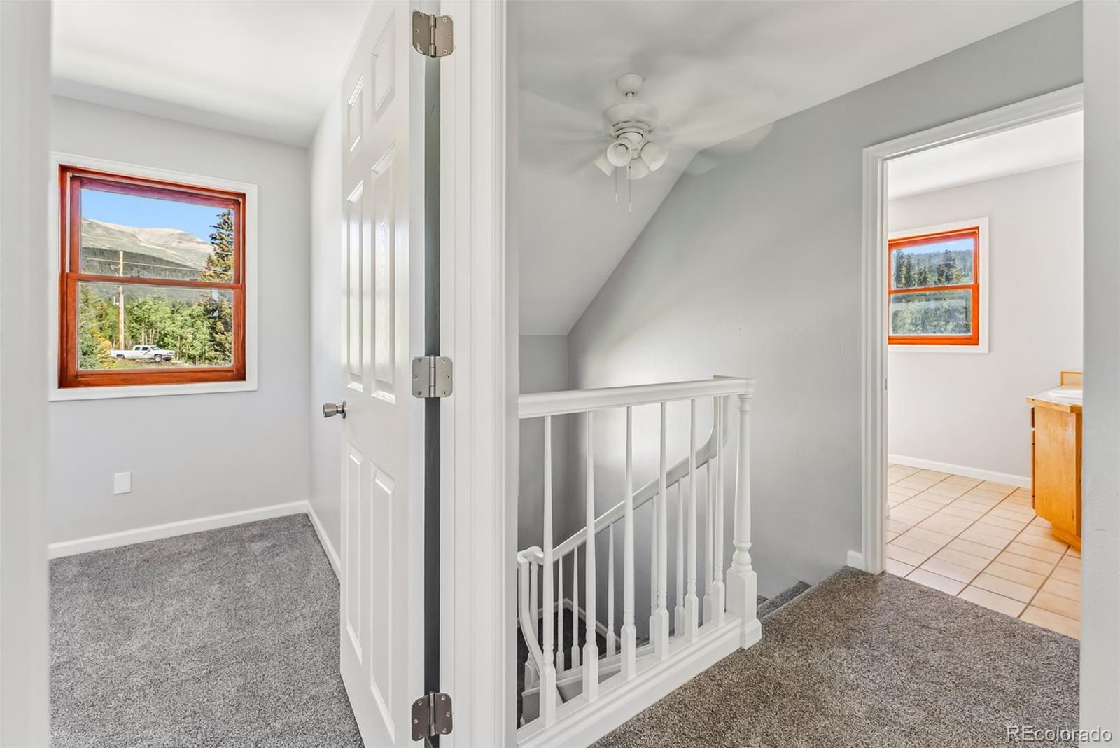 MLS Image #35 for 463 n main street,alma, Colorado