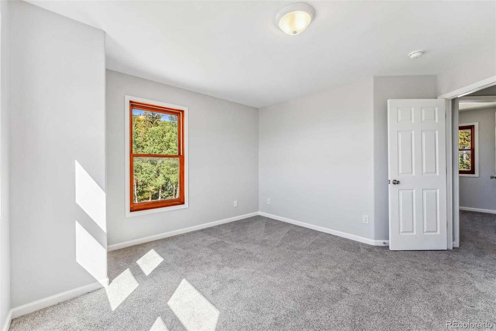 MLS Image #37 for 463 n main street,alma, Colorado