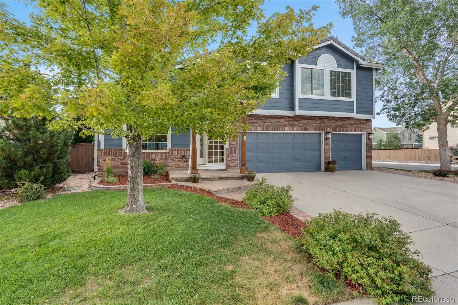 MLS Image #5 for 3215  white oak lane,highlands ranch, Colorado