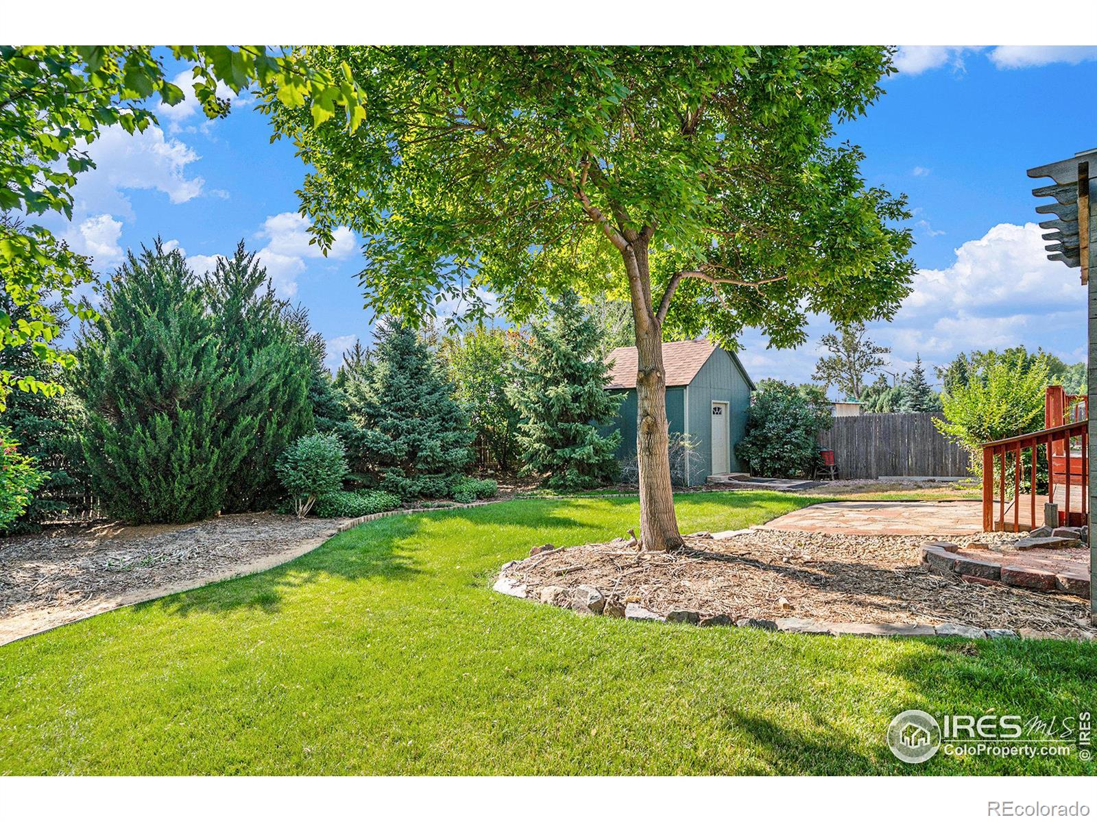 MLS Image #19 for 2942  sombrero lane,fort collins, Colorado