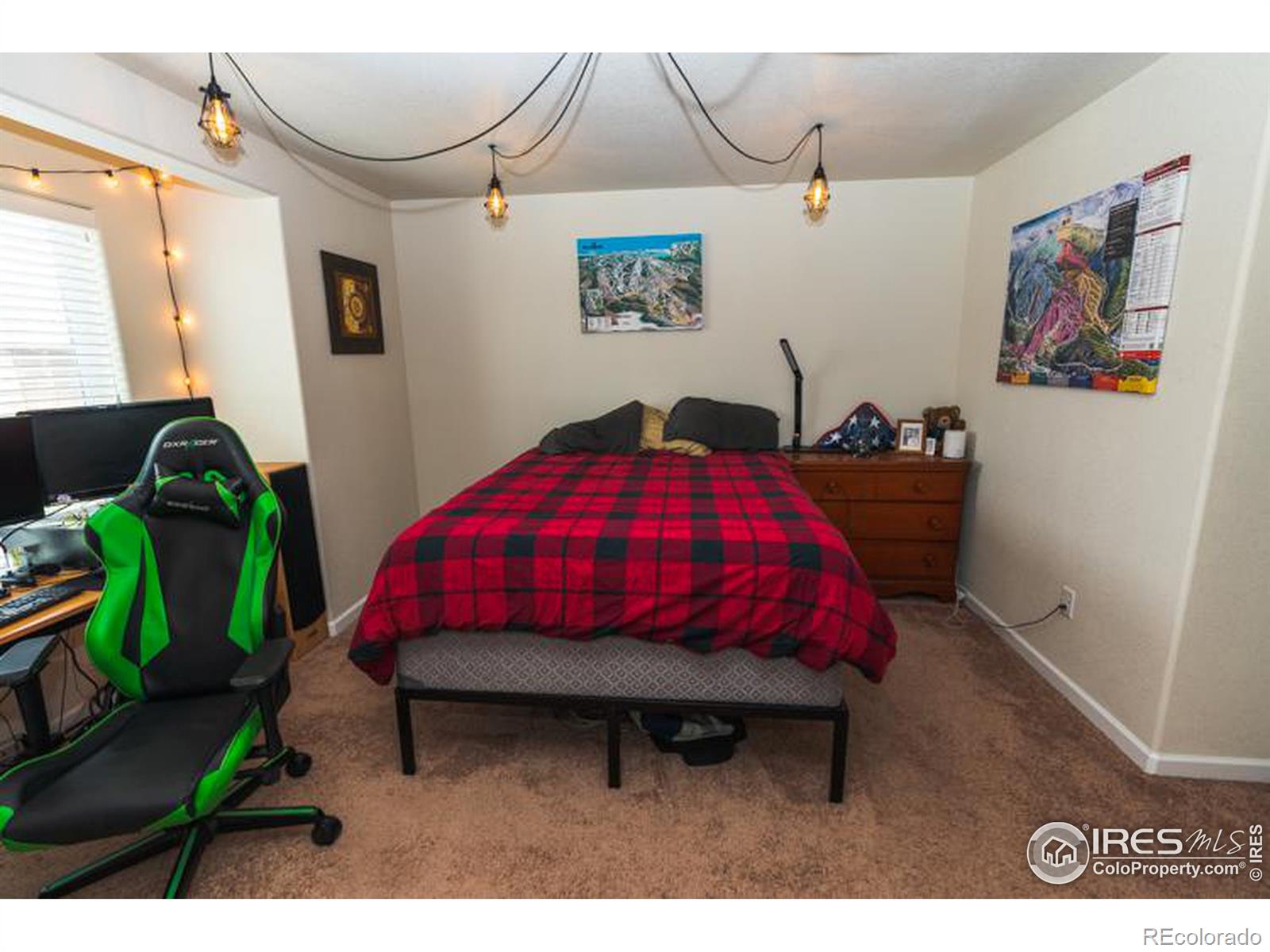 MLS Image #12 for 1224  bistre street,longmont, Colorado