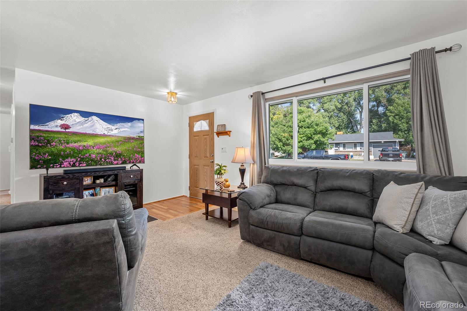 MLS Image #6 for 254 e 112th drive,northglenn, Colorado