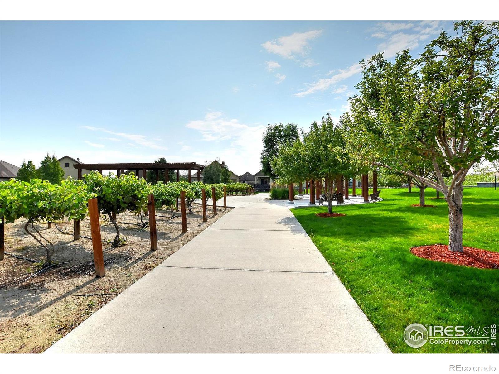 MLS Image #34 for 2014  vineyard drive,windsor, Colorado