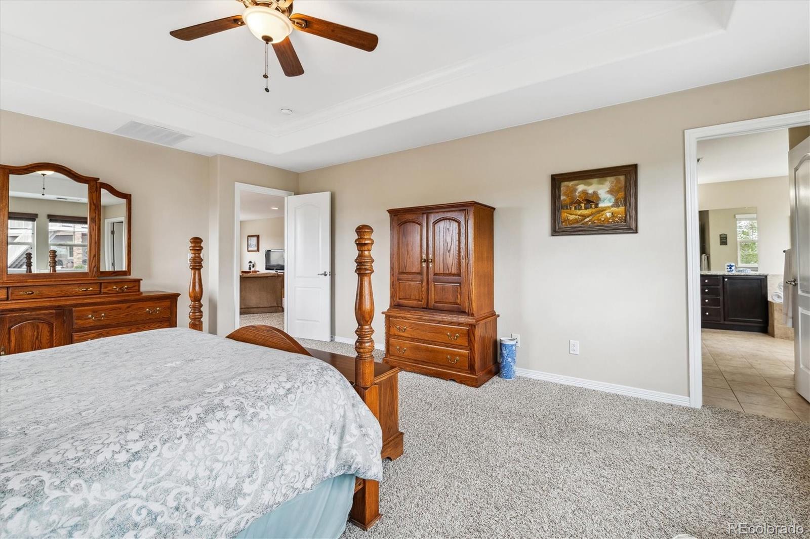 MLS Image #19 for 3722  eveningglow way,castle rock, Colorado