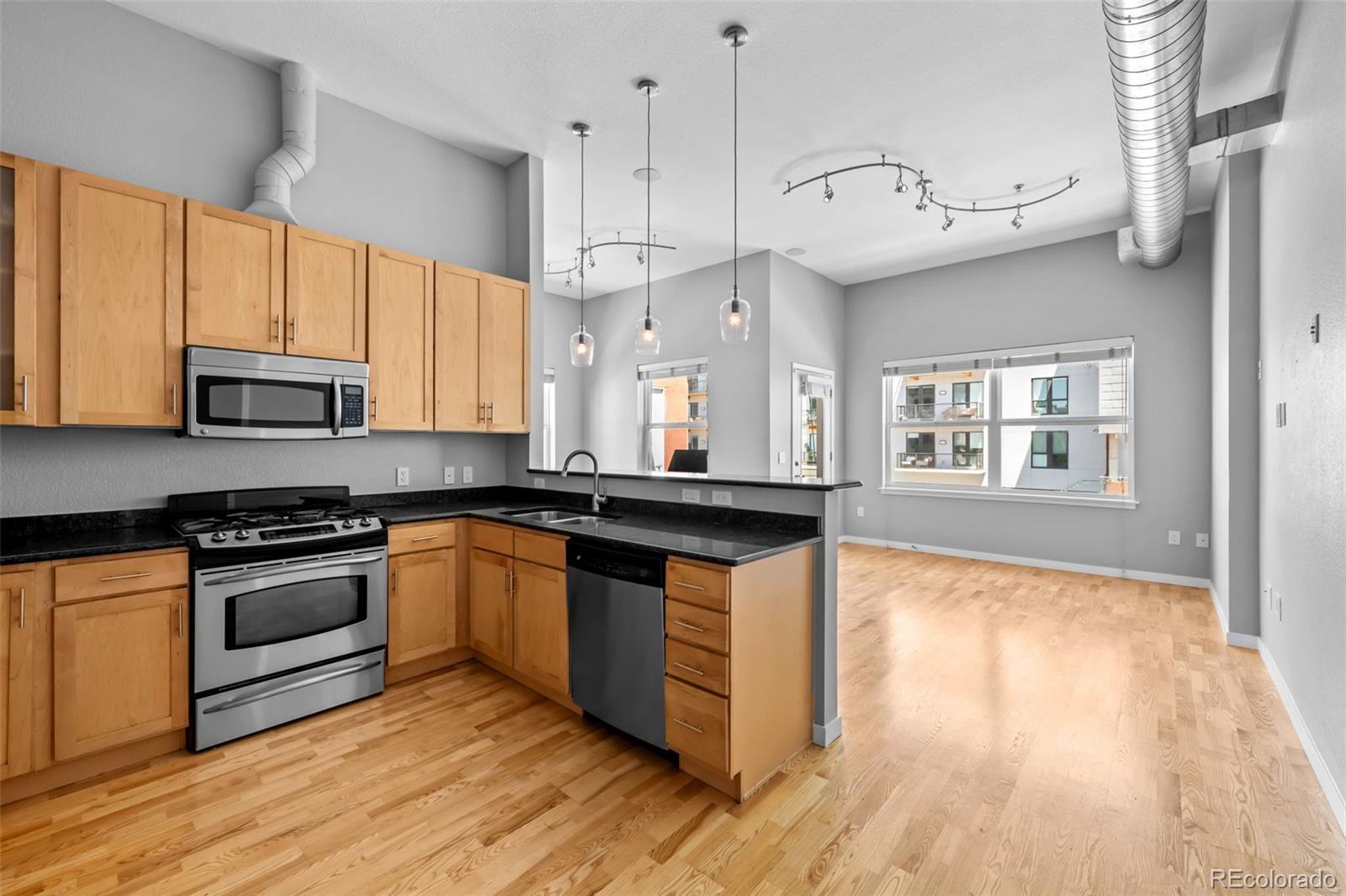 MLS Image #6 for 1555  central street,denver, Colorado