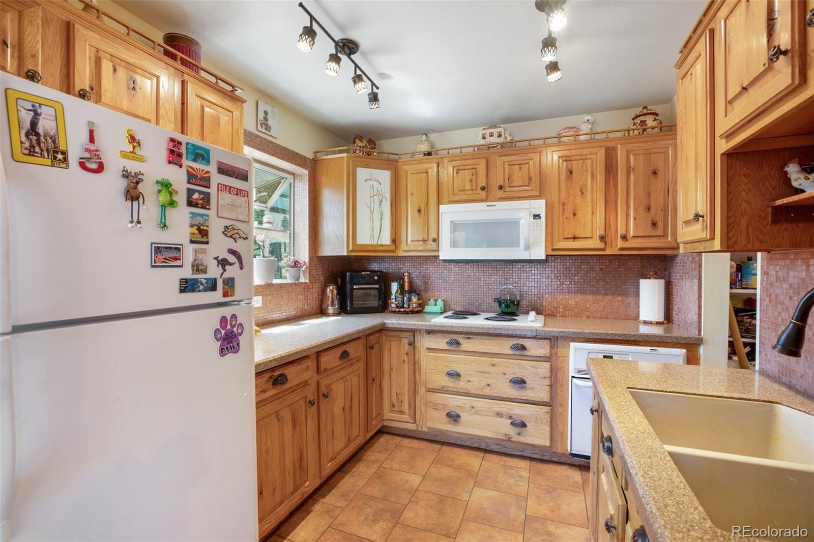 MLS Image #10 for 205  chinook road,guffey, Colorado