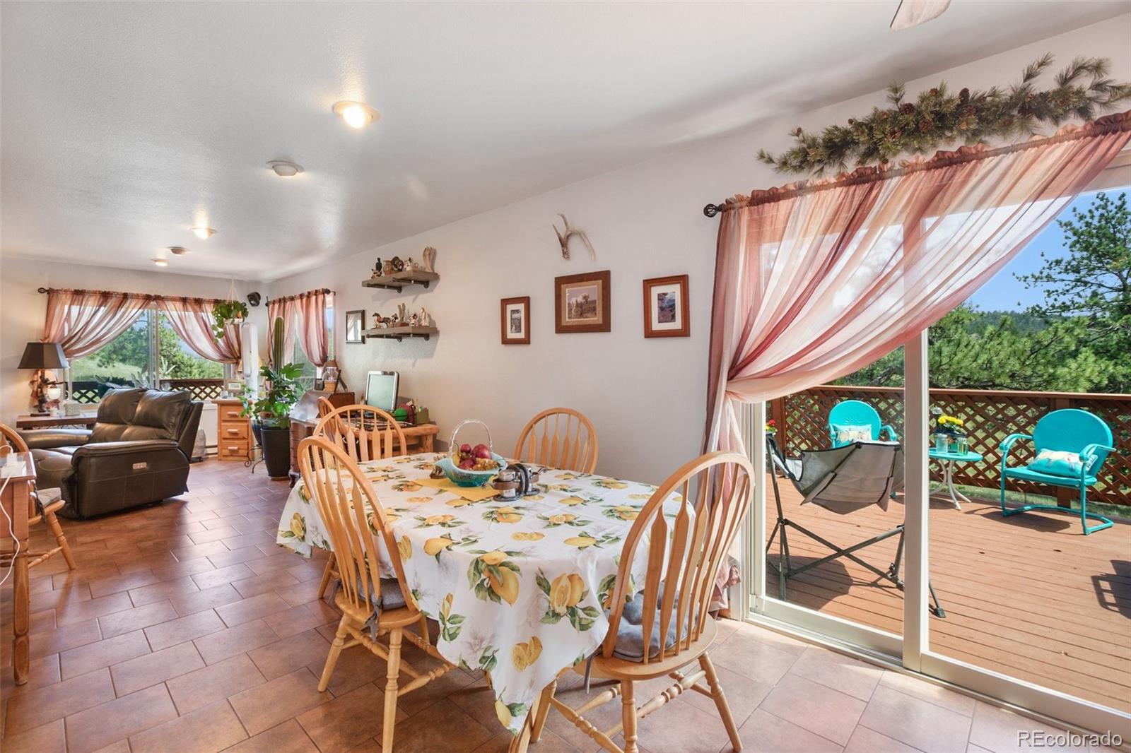 MLS Image #14 for 205  chinook road,guffey, Colorado