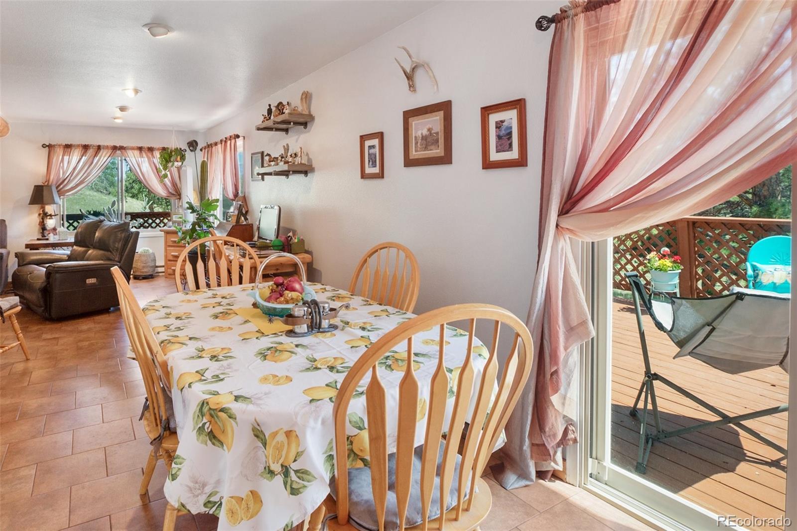MLS Image #15 for 205  chinook road,guffey, Colorado