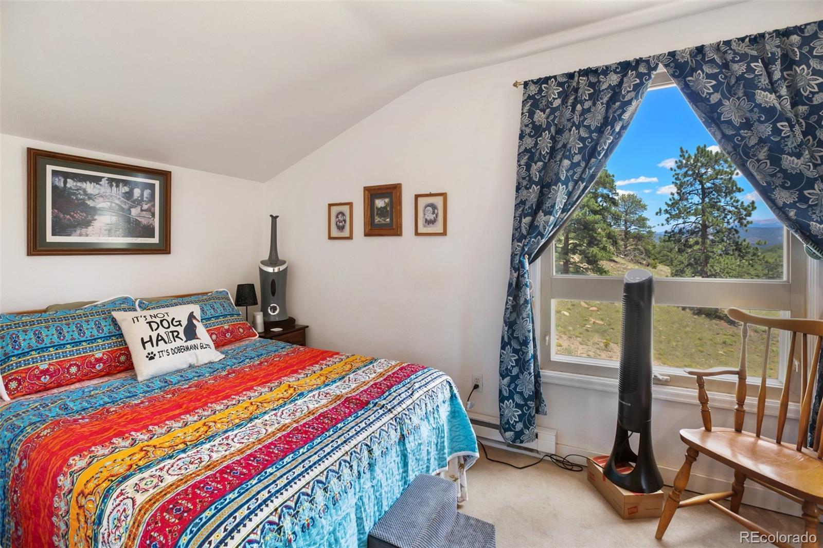 MLS Image #25 for 205  chinook road,guffey, Colorado