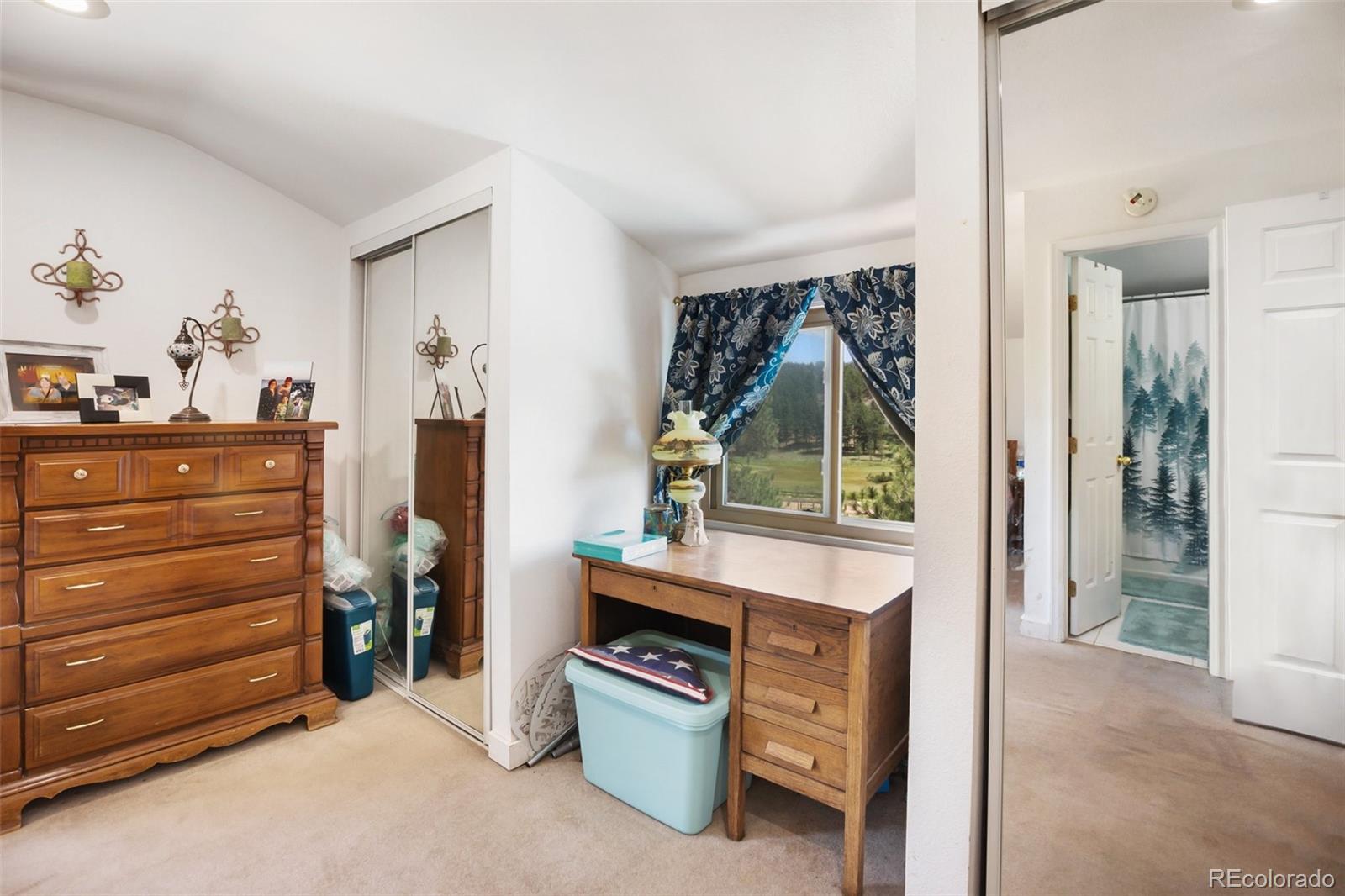 MLS Image #27 for 205  chinook road,guffey, Colorado
