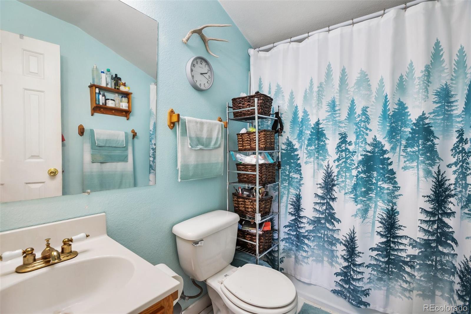 MLS Image #29 for 205  chinook road,guffey, Colorado