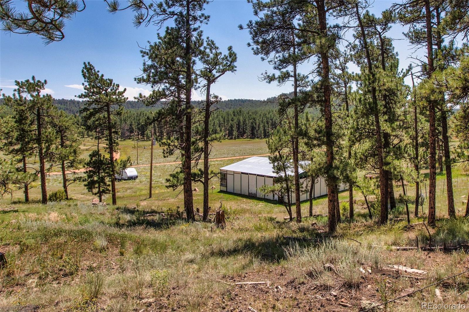 MLS Image #31 for 205  chinook road,guffey, Colorado