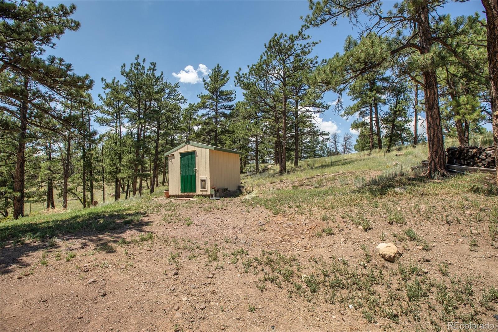 MLS Image #32 for 205  chinook road,guffey, Colorado