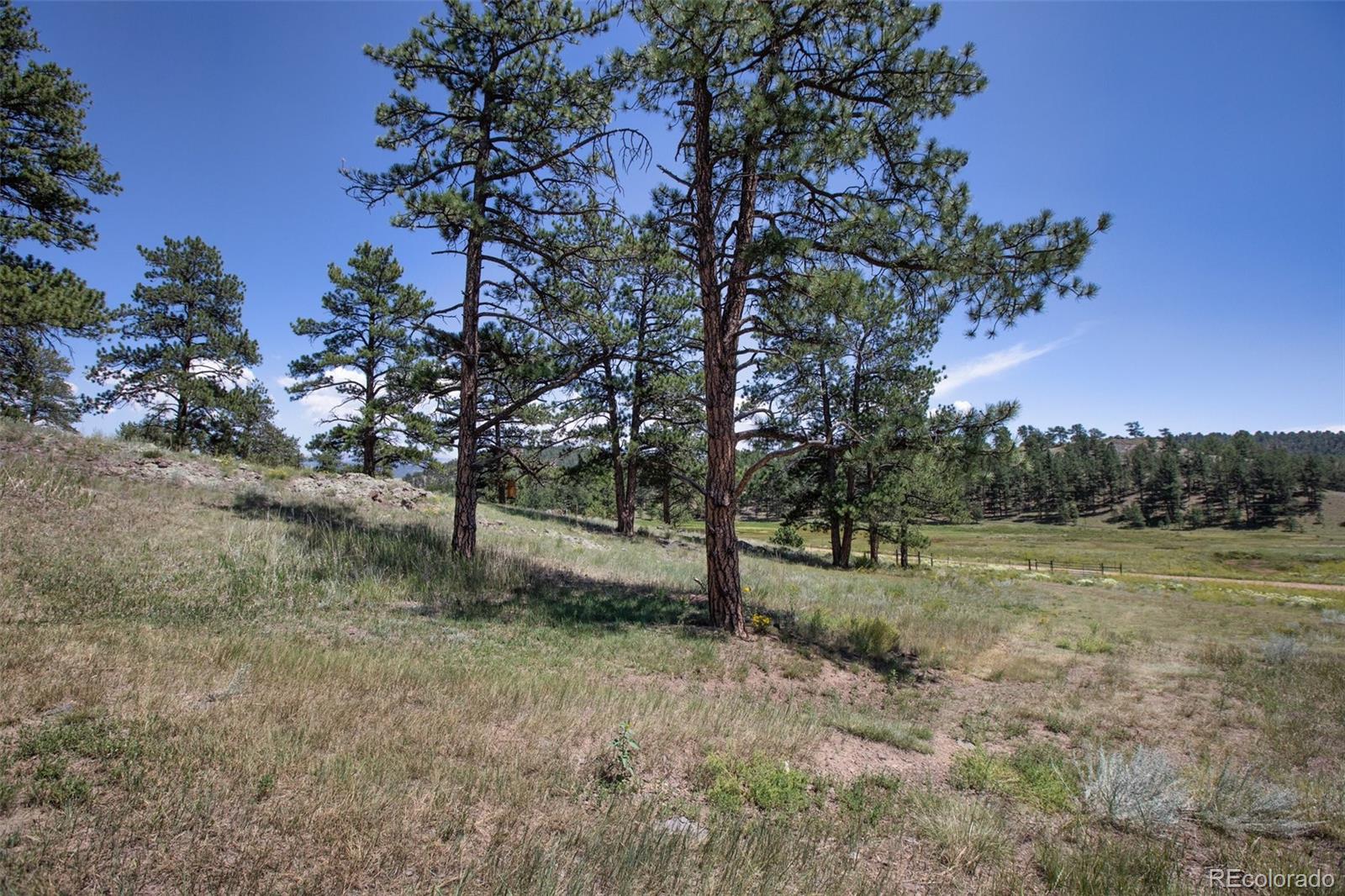 MLS Image #33 for 205  chinook road,guffey, Colorado