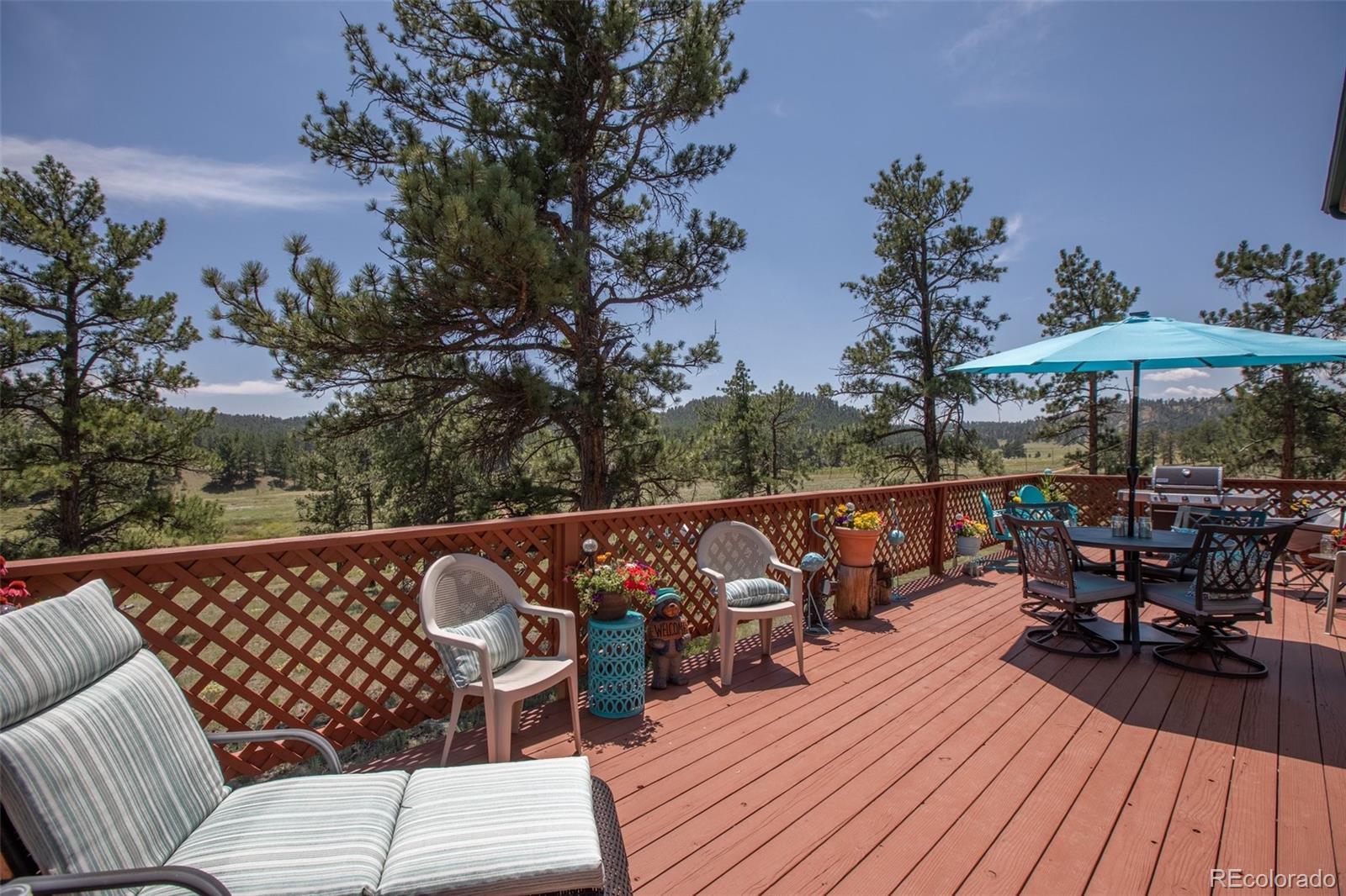 MLS Image #4 for 205  chinook road,guffey, Colorado