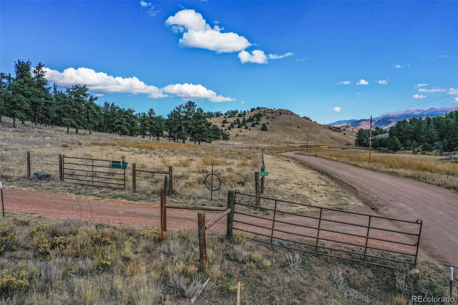 MLS Image #44 for 205  chinook road,guffey, Colorado
