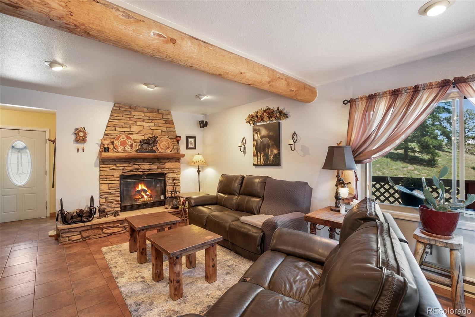 MLS Image #6 for 205  chinook road,guffey, Colorado