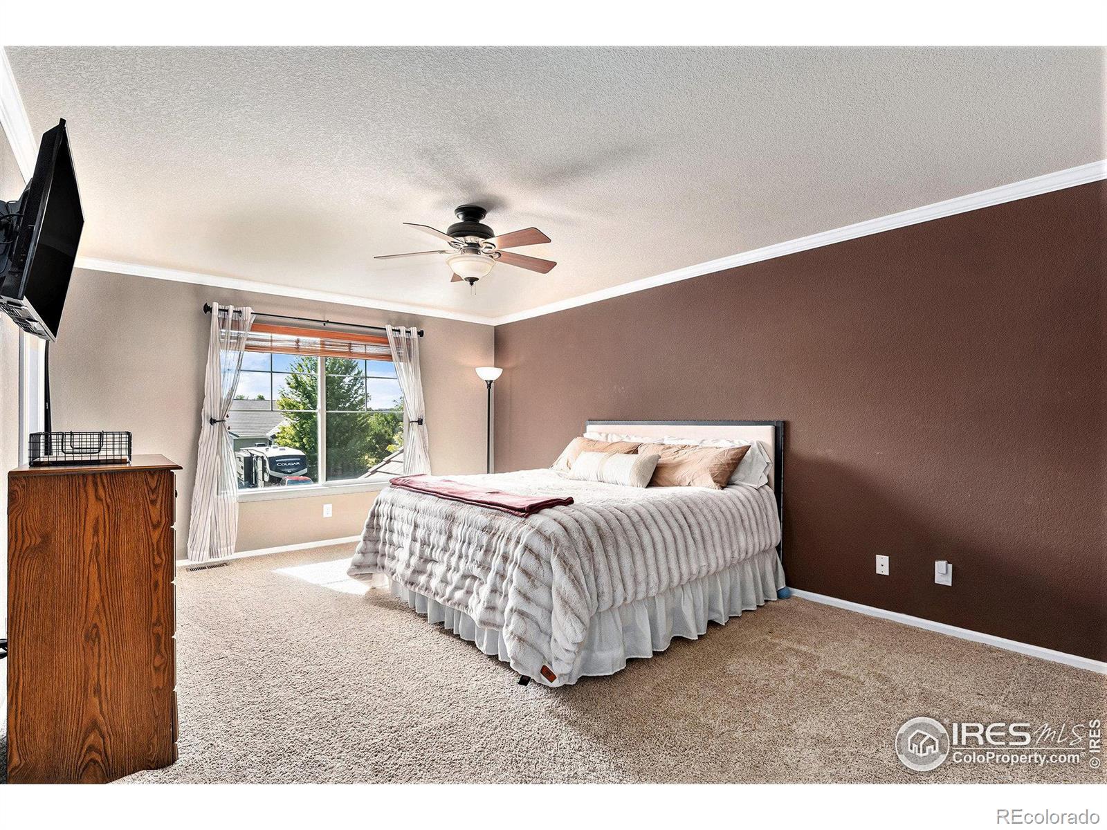 MLS Image #14 for 13062  quince court,thornton, Colorado