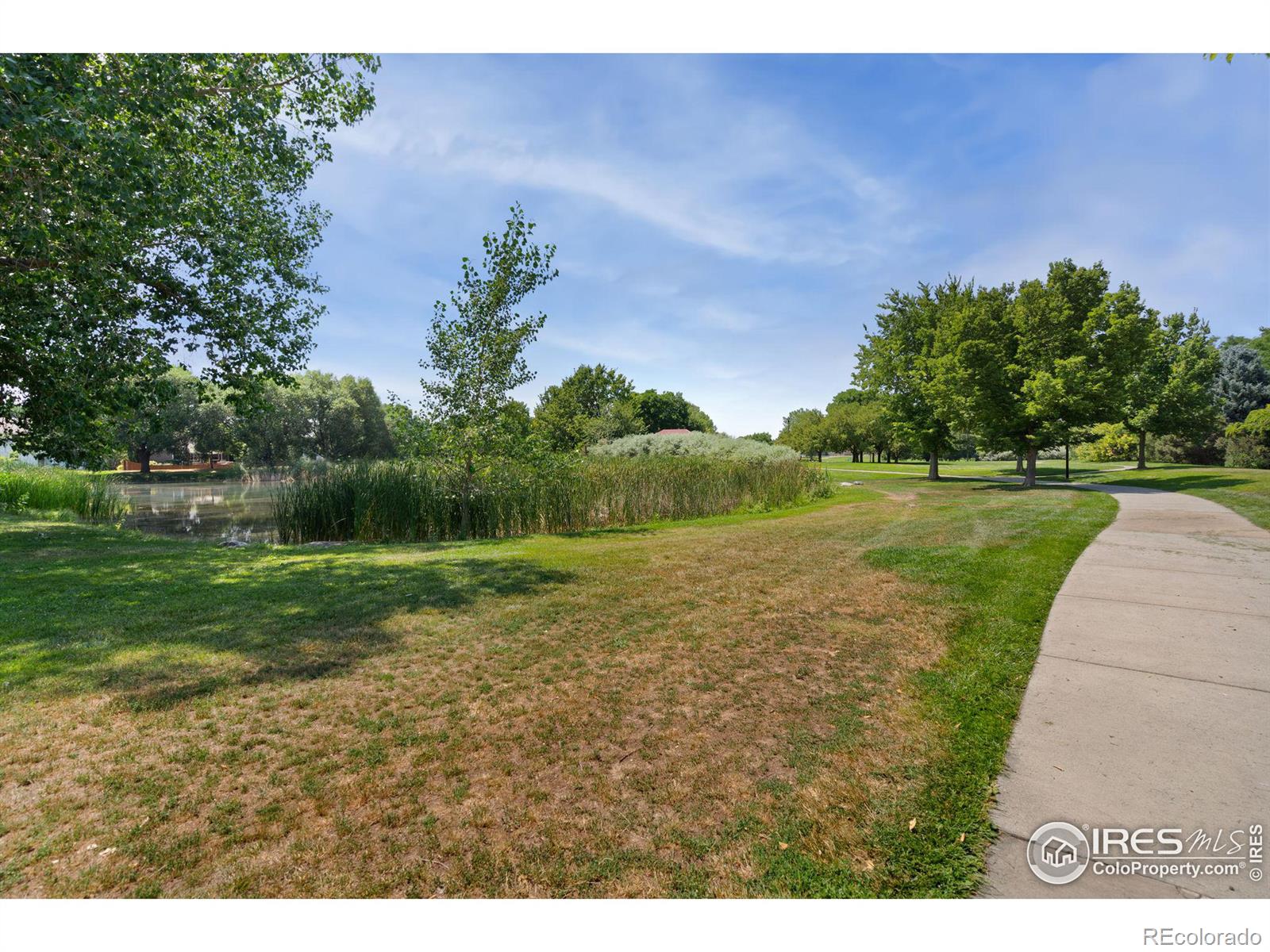 MLS Image #38 for 2808  paddington road,fort collins, Colorado